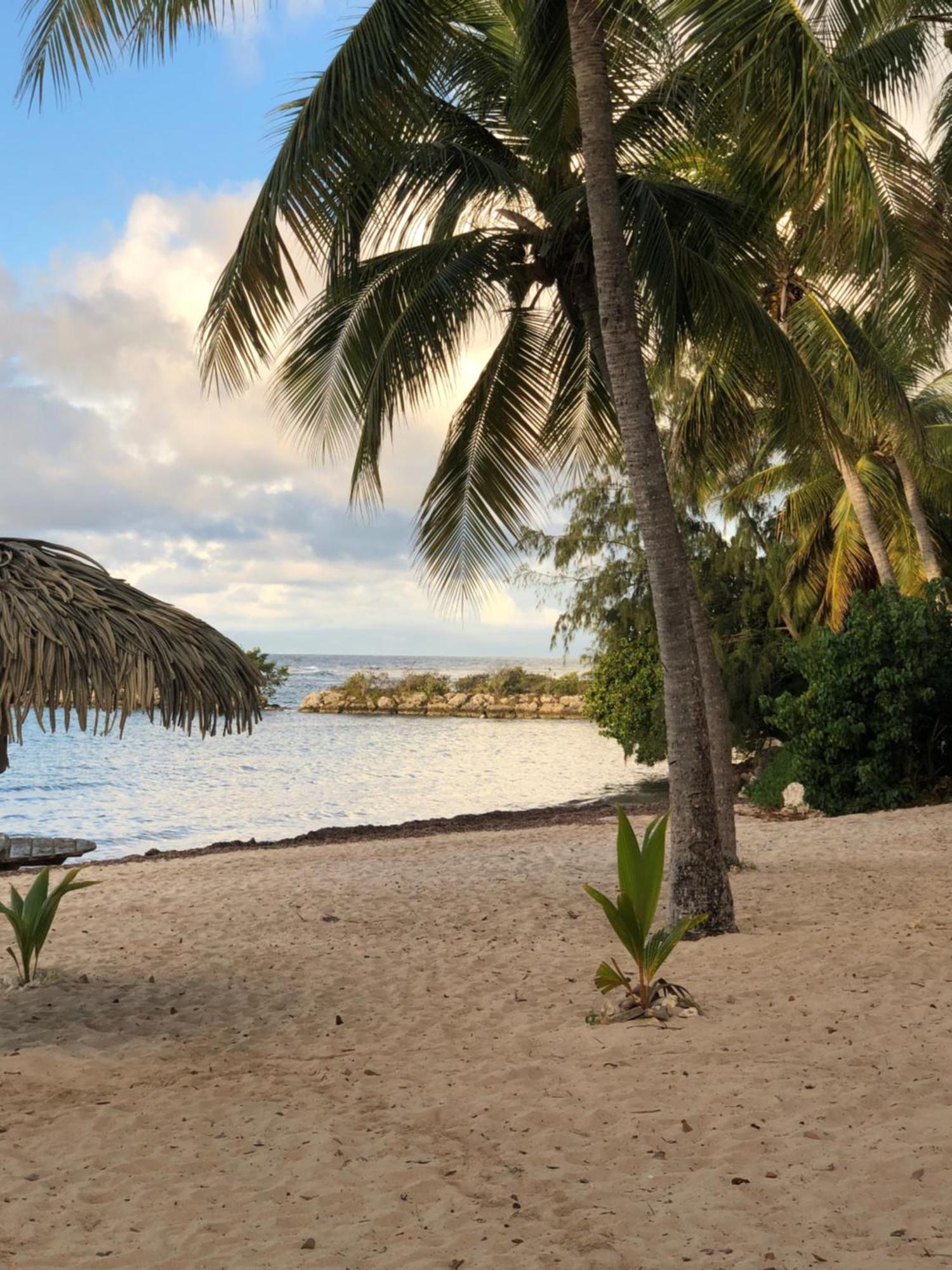 Studio Hibiscus Anse Des Rochers Saint Francois 外观 照片