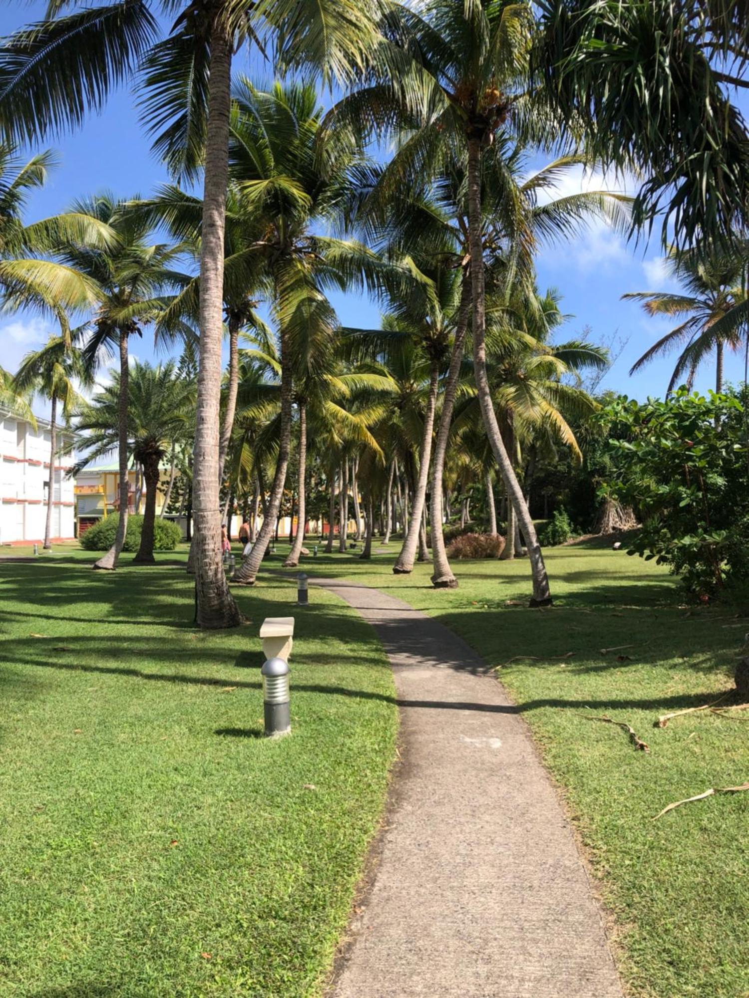 Studio Hibiscus Anse Des Rochers Saint Francois 外观 照片