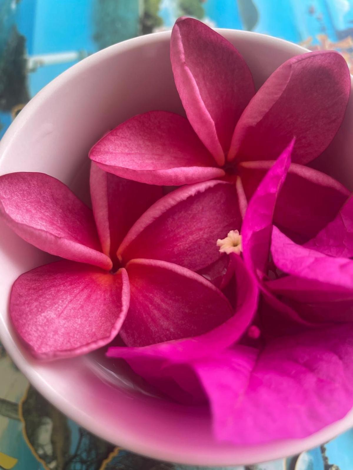 Studio Hibiscus Anse Des Rochers Saint Francois 外观 照片