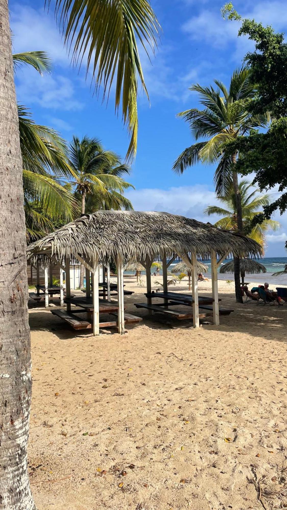 Studio Hibiscus Anse Des Rochers Saint Francois 外观 照片