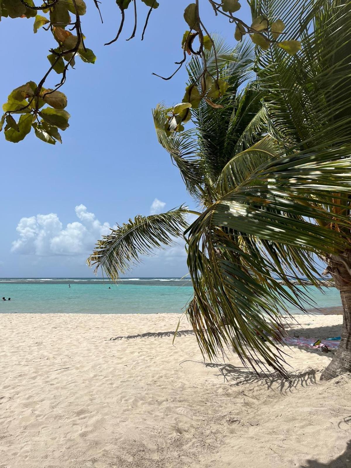 Studio Hibiscus Anse Des Rochers Saint Francois 外观 照片